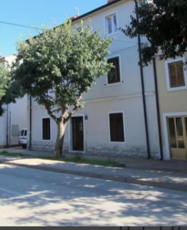 Pet Friendly Apartment Murvi 50 Novigrad Istria Exteriör bild